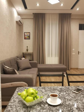 Rustaveli Modern Apartment Center of Tbilisi